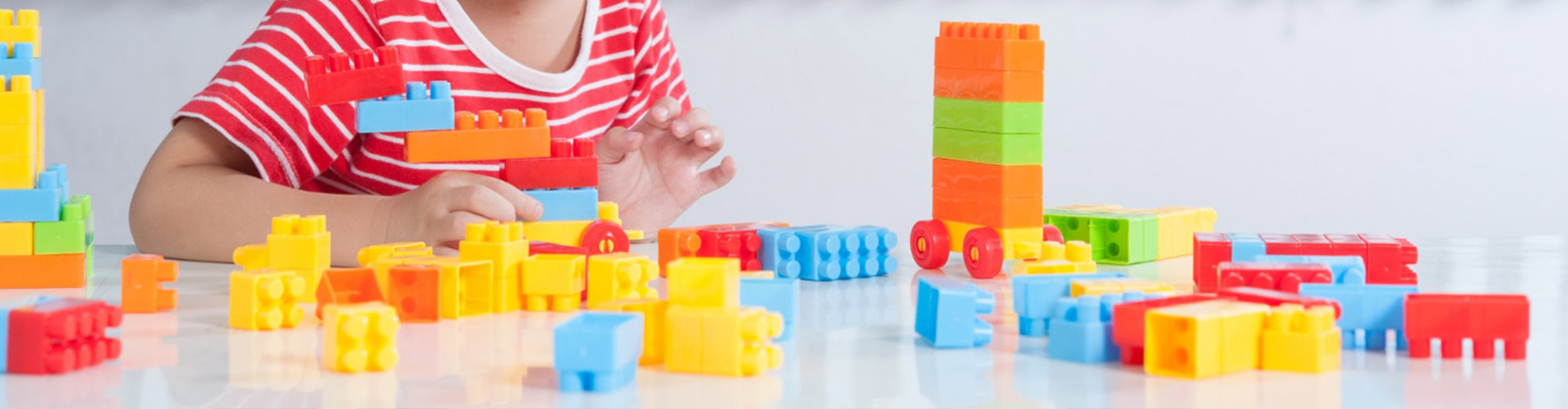 Don Brickouest Légo EPSM Finistère sud