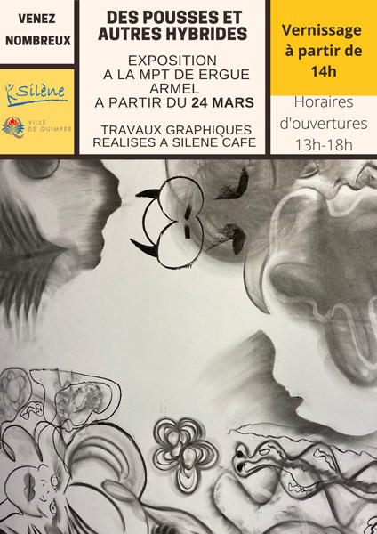 Affiche-Expo-Stephane-Tesson