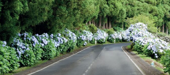 Équipe Mobile et d’Étayage en Psychiatrie