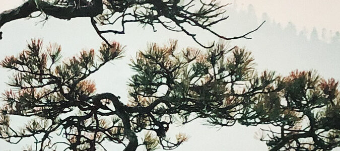 Espace apaisement EPSM quimper