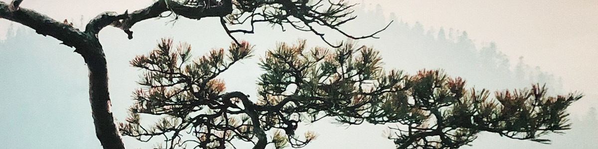 Espace apaisement EPSM quimper