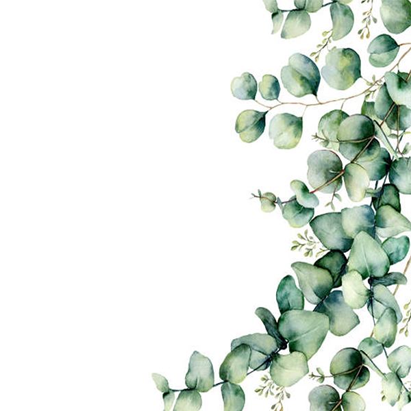 Atelier Psychoéducation : Bipo’kit 